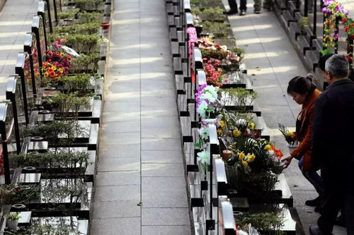 寄托哀思千萬條 文明祭掃第一條
